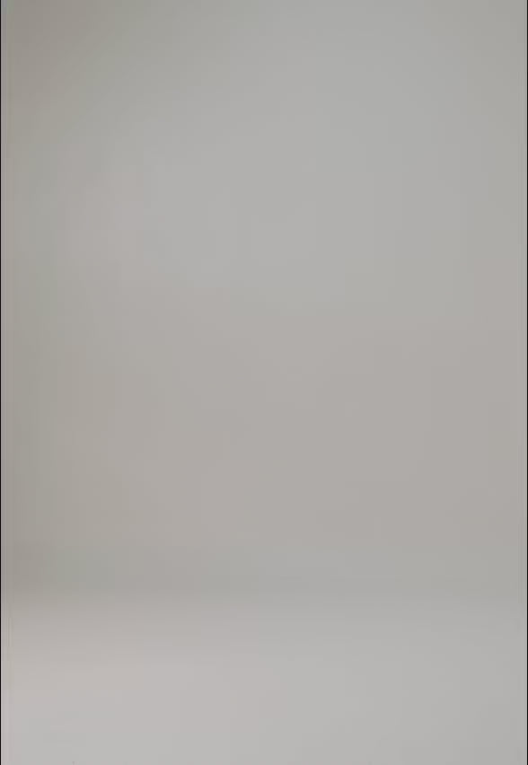 Camisero Cuello Alto