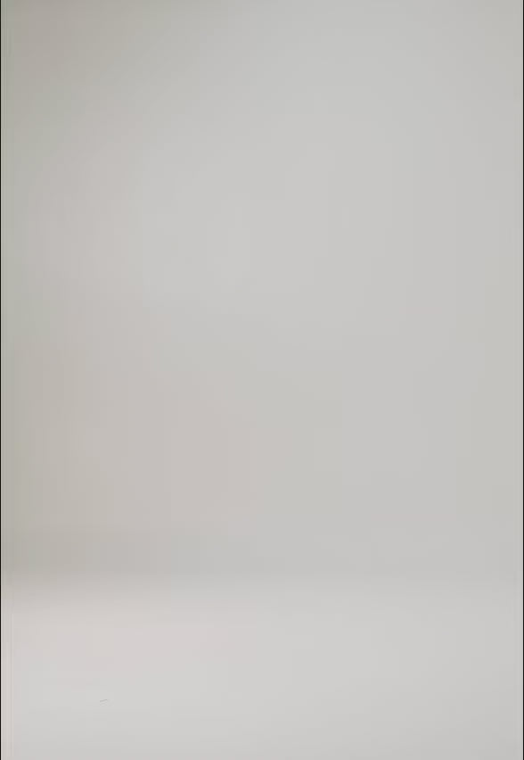 Camisero Punto Inglés Manga Bombacha